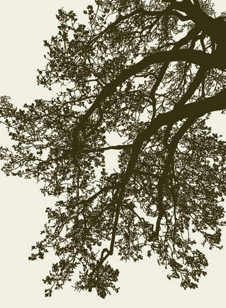 Vector image of the branches of a deciduous tree in summerのイラスト素材