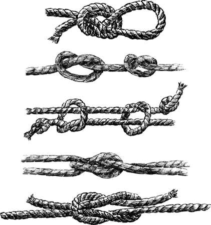 A set of different sea knotsのイラスト素材