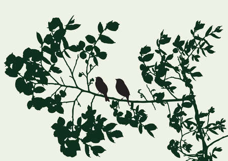 Silhouettes of tree branches with birds in summerのイラスト素材
