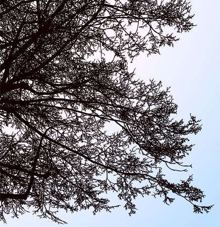Vector drawing of silhouettes tree branches in winter seasonのイラスト素材