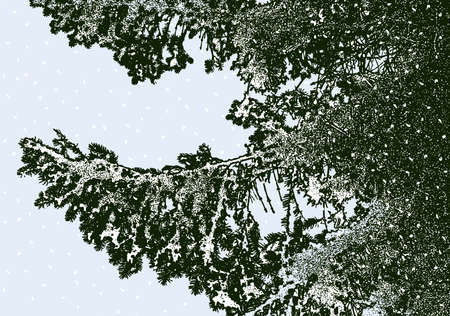 Vector illustration of fir branches in winter forest on snowy dayのイラスト素材