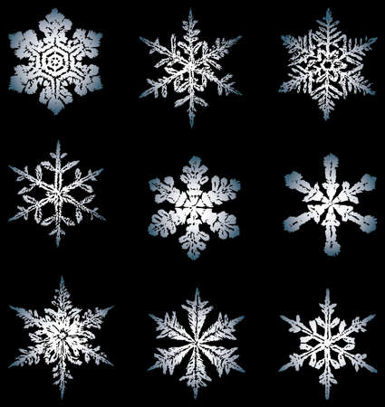 Vector image of various drawn decorative snowflakesのイラスト素材