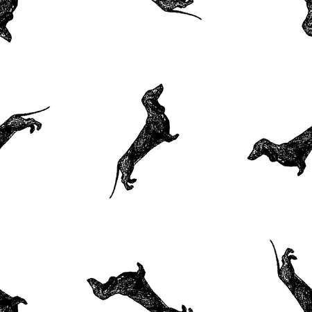 Seamless background of silhouettes drawn funny dachshundsのイラスト素材