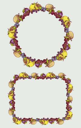 Decorative borders from drawn ripe fruits and berriesのイラスト素材