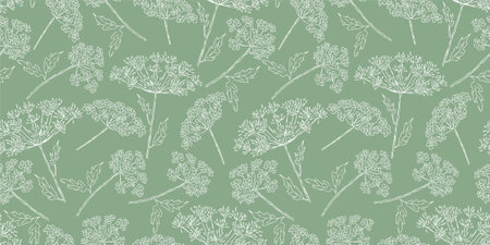 Seamless vector pattern of contour drawings blooming wildflowers umbrella plants, background for textile, paper,wallpaperのイラスト素材