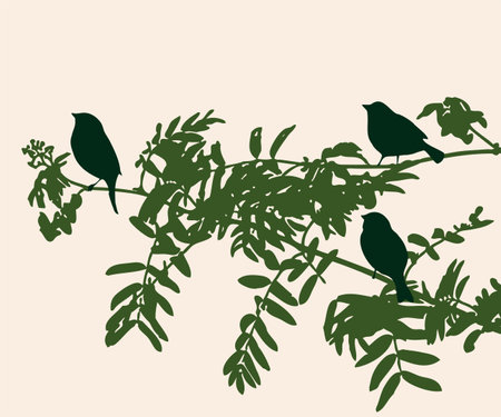 Vector illustration of silhouettes sparrows birds on rowan branch with green leaves in summer morningのイラスト素材