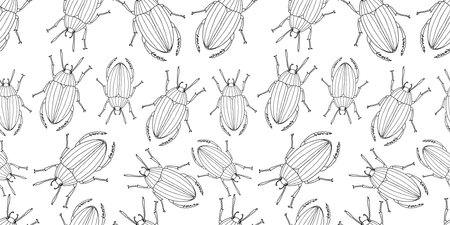 Seamless vector pattern of contour drawings abstract wild beetles black and white outlines isolated on whiteのイラスト素材