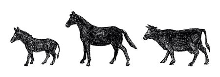 Hand drawn silhouettes of different hoofed farm animals, horse, donkey, cow, profile, vector illustrationのイラスト素材