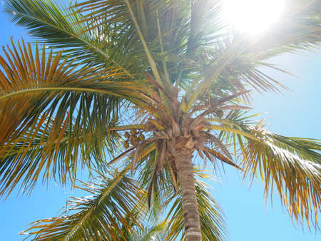 Dominican Republicの写真素材