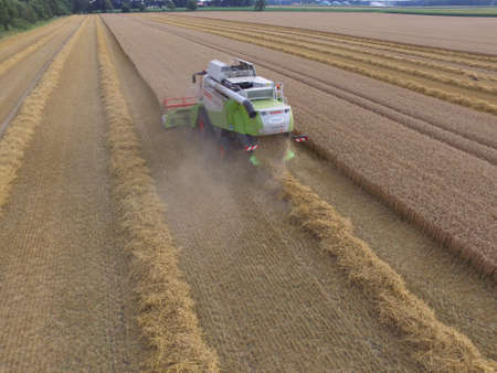 grain harvestのeditorial素材