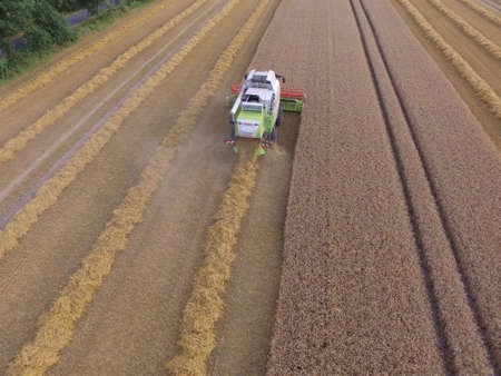 grain harvestのeditorial素材