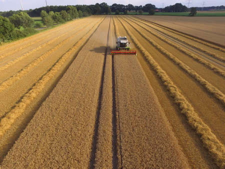 grain harvestのeditorial素材