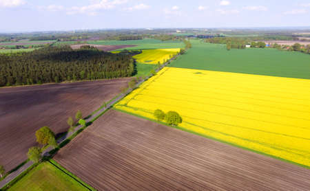 Landscape Rape fieldの写真素材