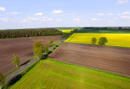Landscape Rape fieldの写真素材