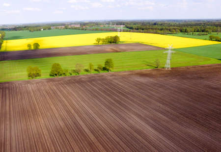 Landscape Rape fieldの写真素材