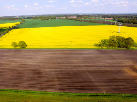 Landscape Rape fieldの写真素材