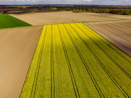 Landscape Rape field