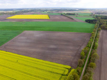 Landscape Rape fieldの写真素材