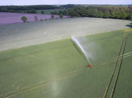 Cornfield irrigationの写真素材