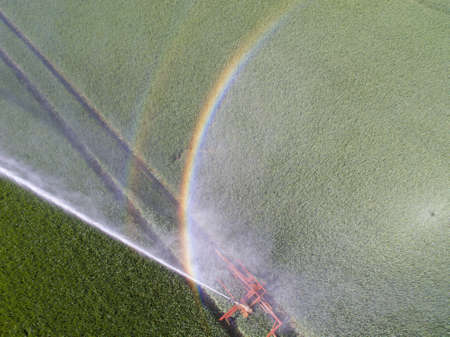 Cornfield irrigationの写真素材