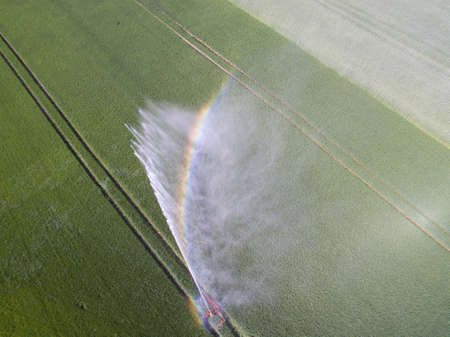 Cornfield irrigationの写真素材