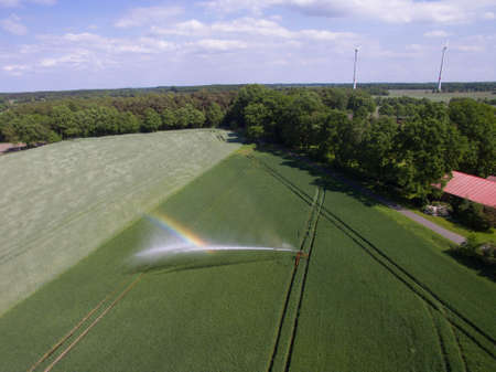 Cornfield irrigationの写真素材