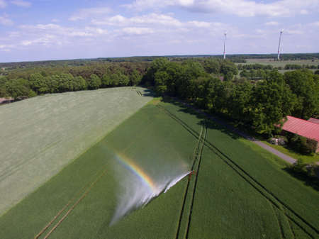 Cornfield irrigationの写真素材