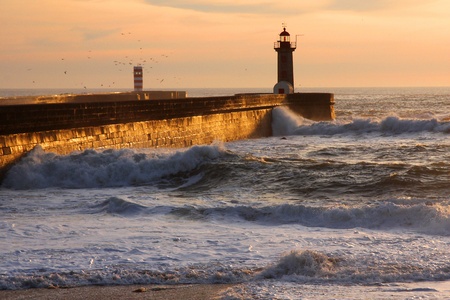 waves, ocean, water, porto, portugal, lighthouse, rock, stone, seagulls, lamp coast, sea, warn, safety, stormy, architecture, security, tower, landmark, navigation, shore, signal, sky, sunsetの写真素材