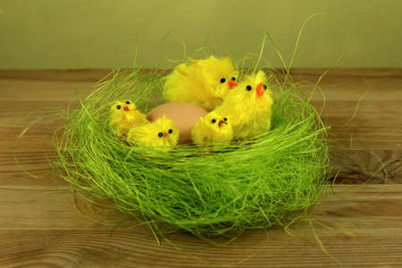 easter chicks with egg in a nest 