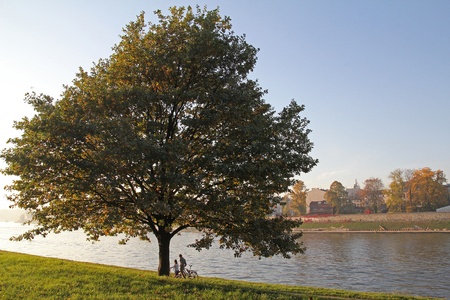 Couple under the tree on the boulevards in Krakowの写真素材