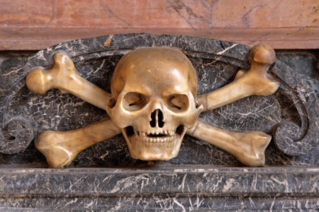 ivory skull and bonesの写真素材