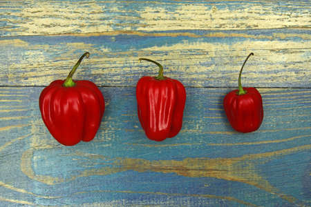 three chili peppers on old wood backgroundの写真素材