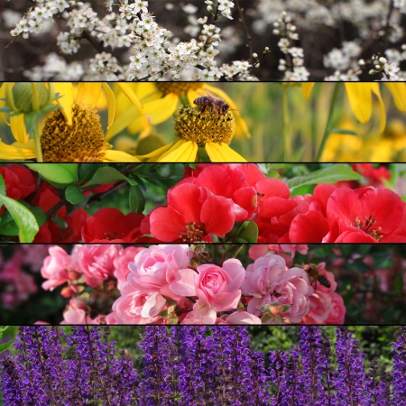 collection of colorful flower banners の写真素材