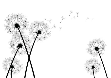 Dandelion のイラスト素材