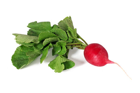radish isolated on white background の写真素材