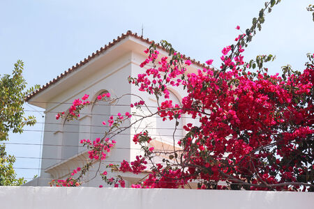 spanish house and pink flowers の写真素材