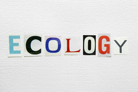 ecology word cut from newspaper on white paper の写真素材