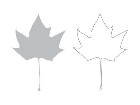 maple leavesのイラスト素材