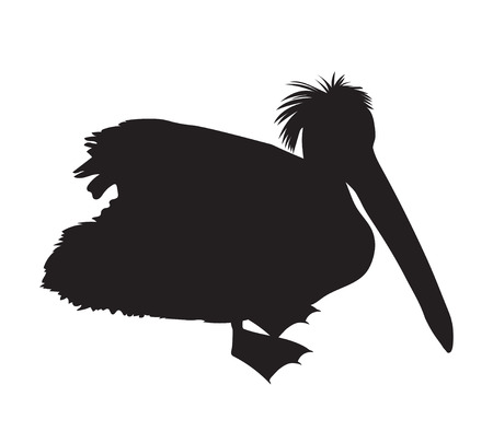 Black silhouette of a pelicanのイラスト素材