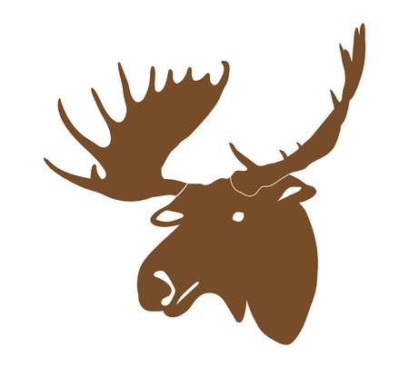 Vector moose headのイラスト素材