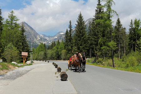 STRYBSKE Pleso, JUNE 1: carriage with tourists in the Slovak Tatra mountains; on June 1, 2015 Strbske Pleso, Slovakia. It's very popular touristic place in Slovakiaのeditorial素材