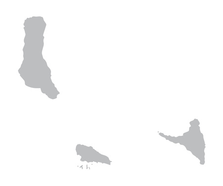 gray map of Comorosのイラスト素材