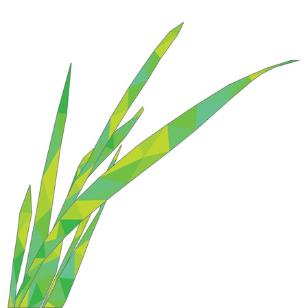 polygonal blade of grass, vector illustrationのイラスト素材