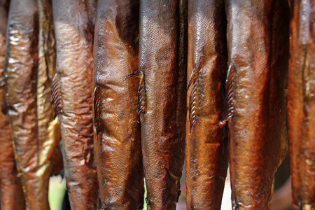 smoked fish (trout)