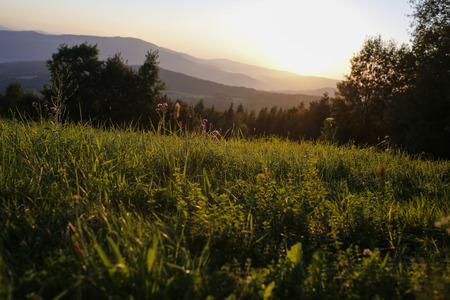 summer rural landscapeの写真素材