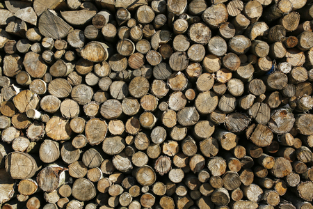pile of wood logs backgroundの写真素材