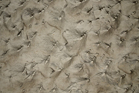 stone wall background or textureの写真素材