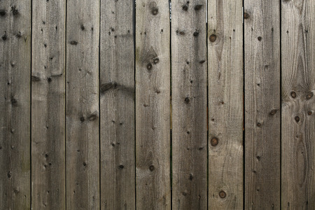 wooden fence with knots- background or texture