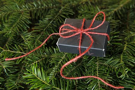 christmas present on fir treeの写真素材