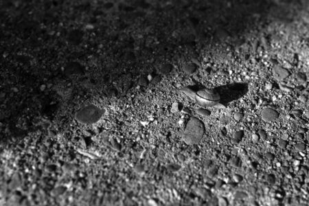 Snail on the stone backgroundの写真素材